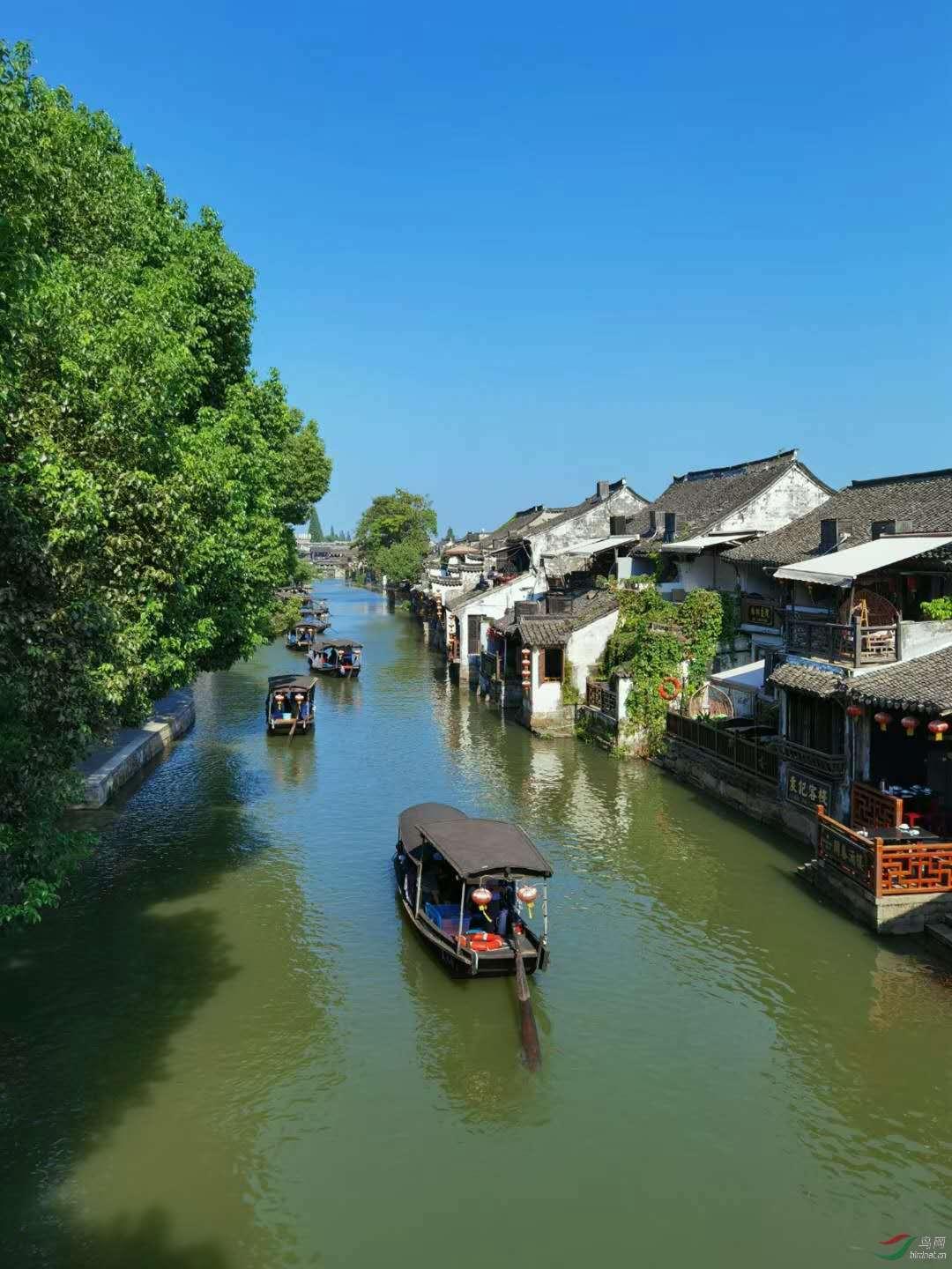飞跃沙丘的小球